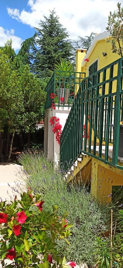 Apartments Vukovic Stari Grad  Dış mekan fotoğraf