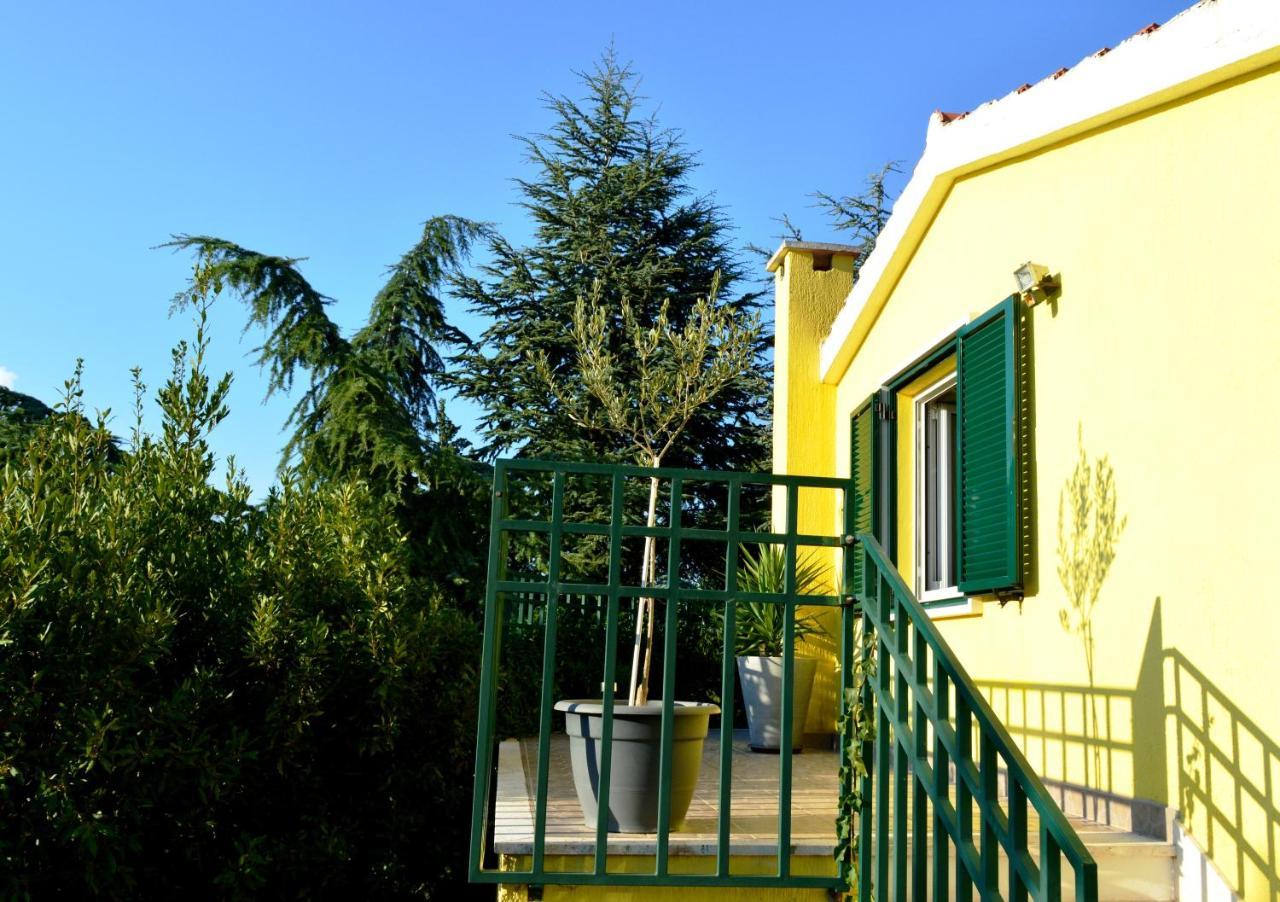 Apartments Vukovic Stari Grad  Dış mekan fotoğraf